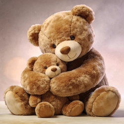 Teddy Bears  Delivery in India