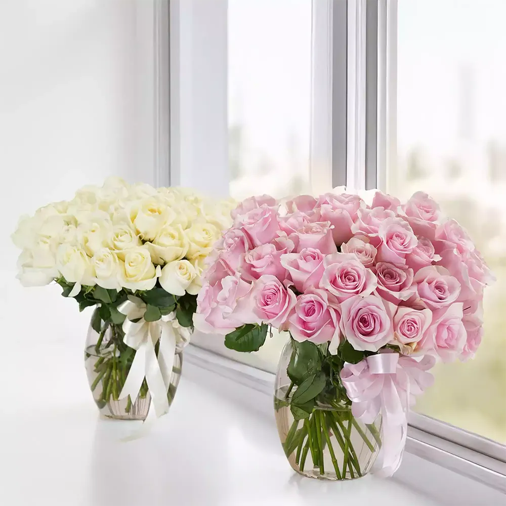 Twins of White & Pink Roses