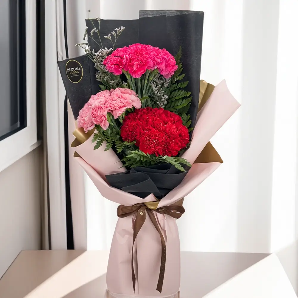 Mix Bundles of Carnations