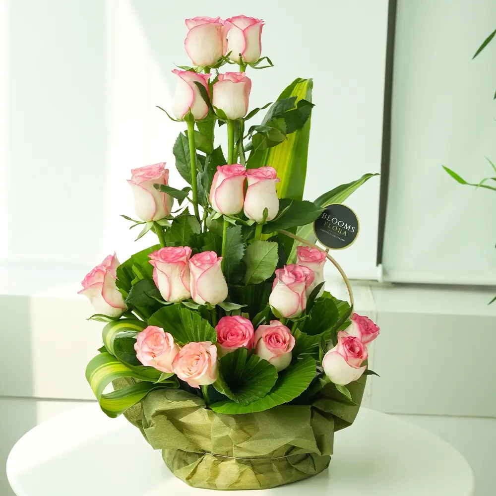 18 Pink Roses un a basket