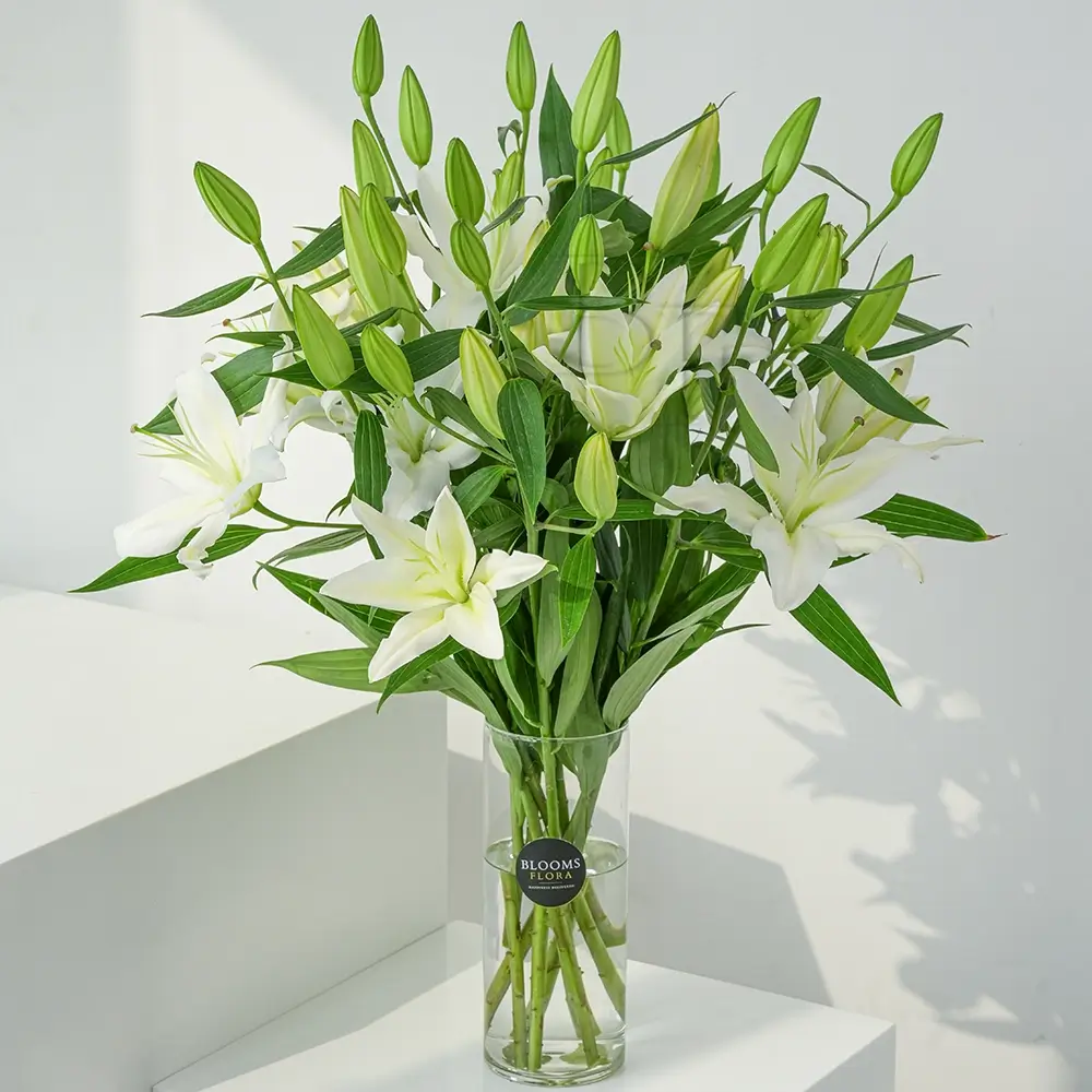 White Lilies in a Vase