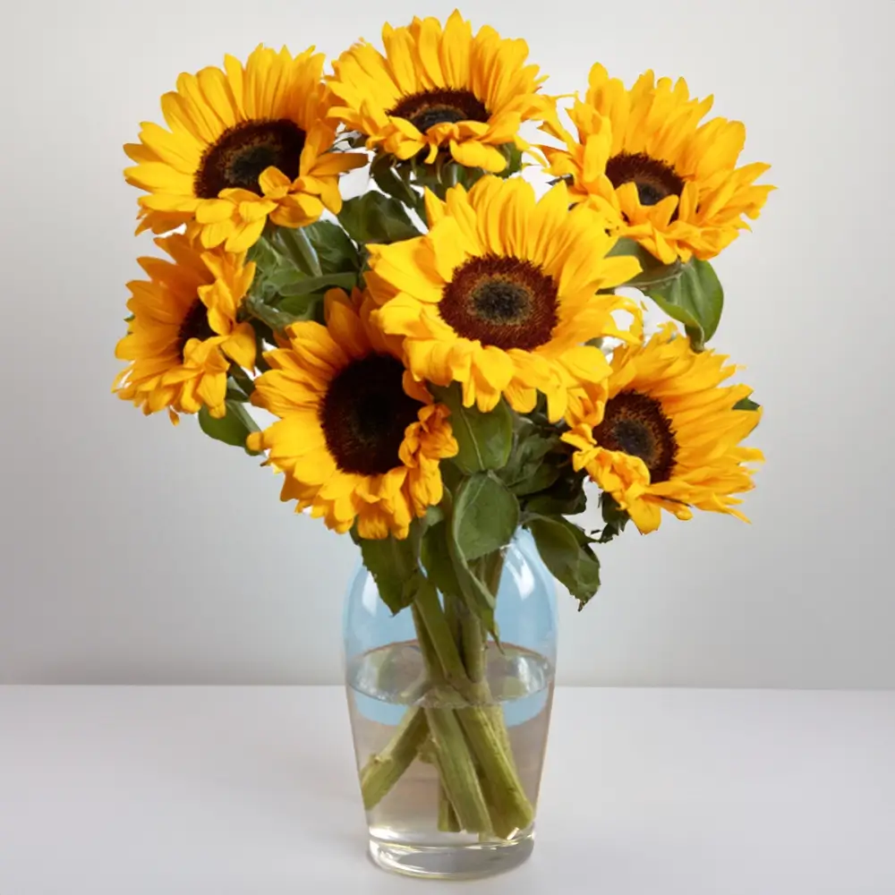 Calming Sunflowers in Vase