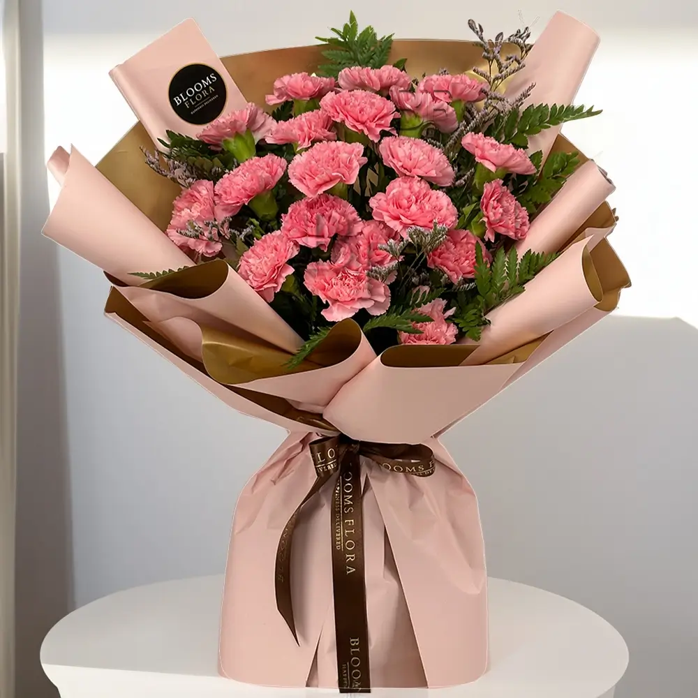 20 pink carnations bouquet