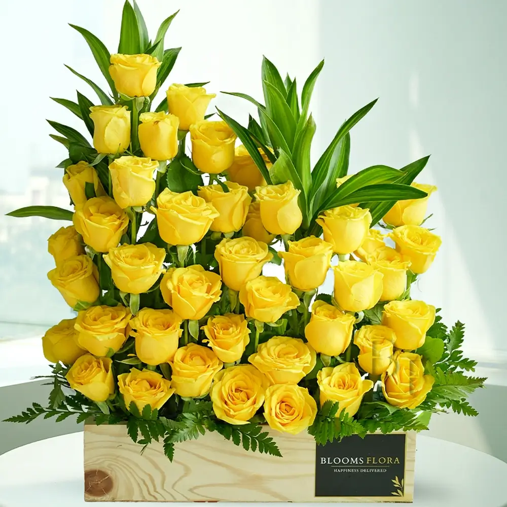 50 yellow roses in a wooden box