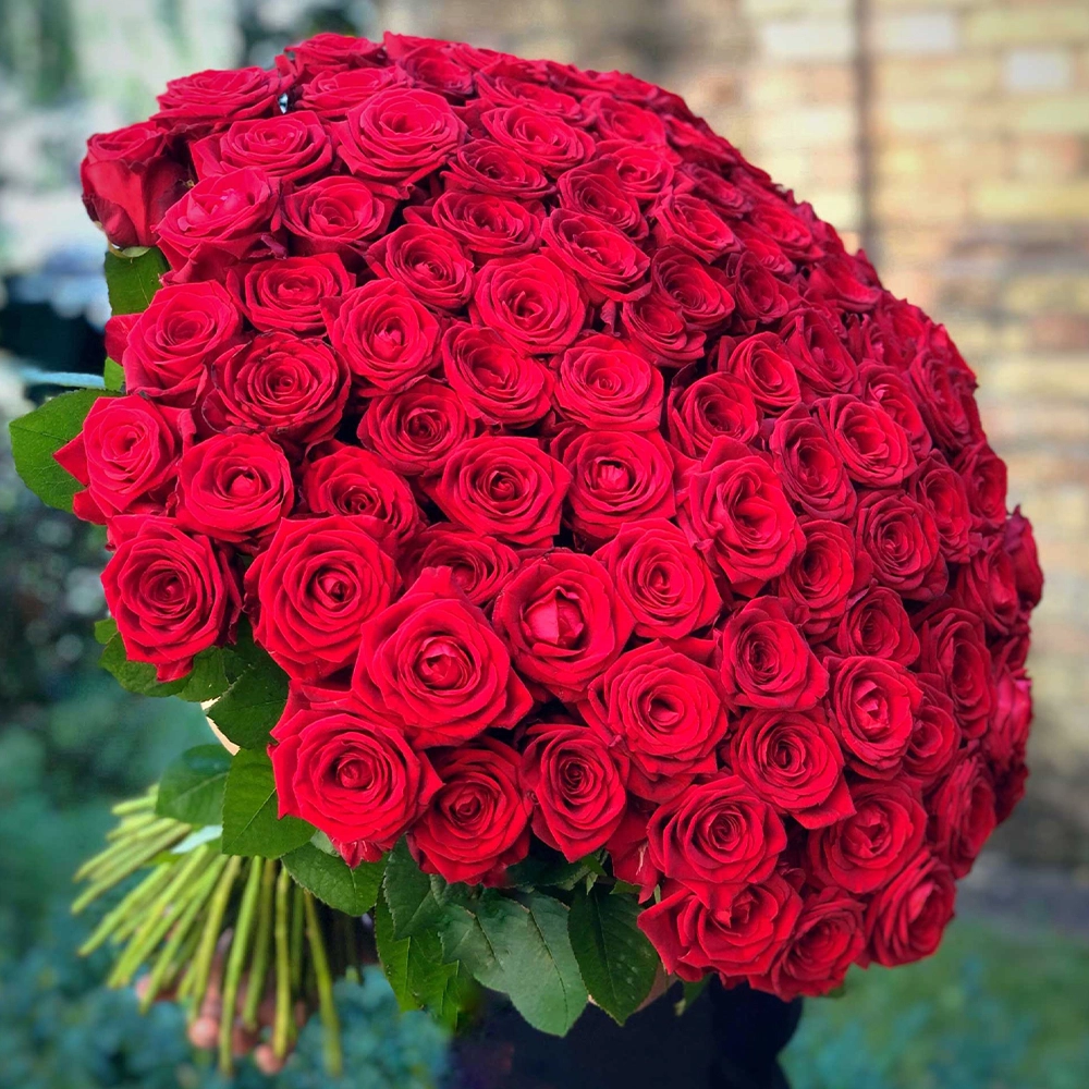 Red Roses Bouquet