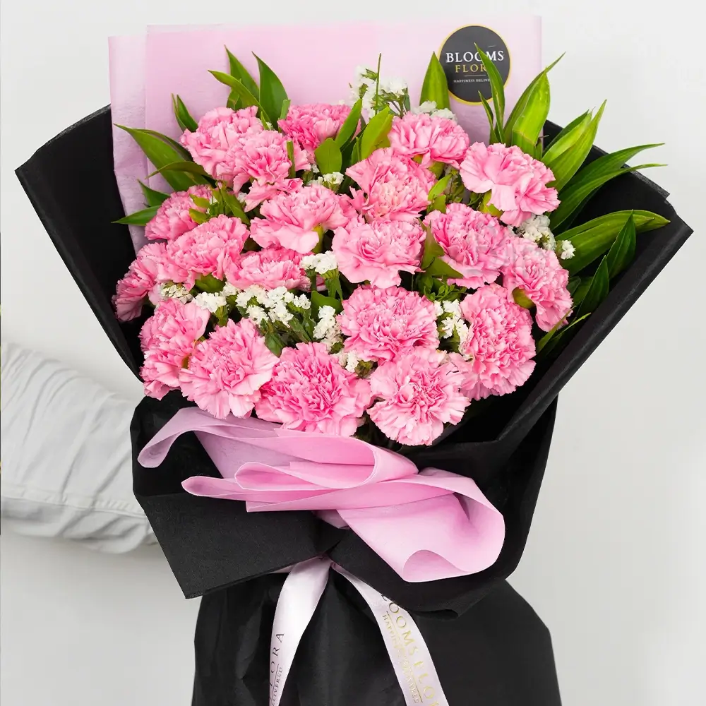 20 Pink Carnations Bouquet