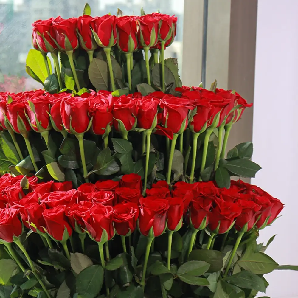 3 tier 100 red roses in a basket