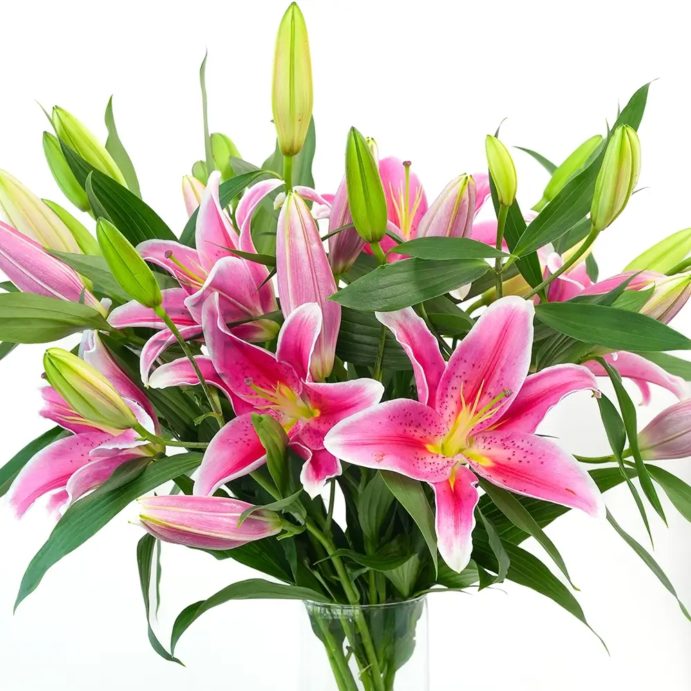 7 pink lilies in a vase