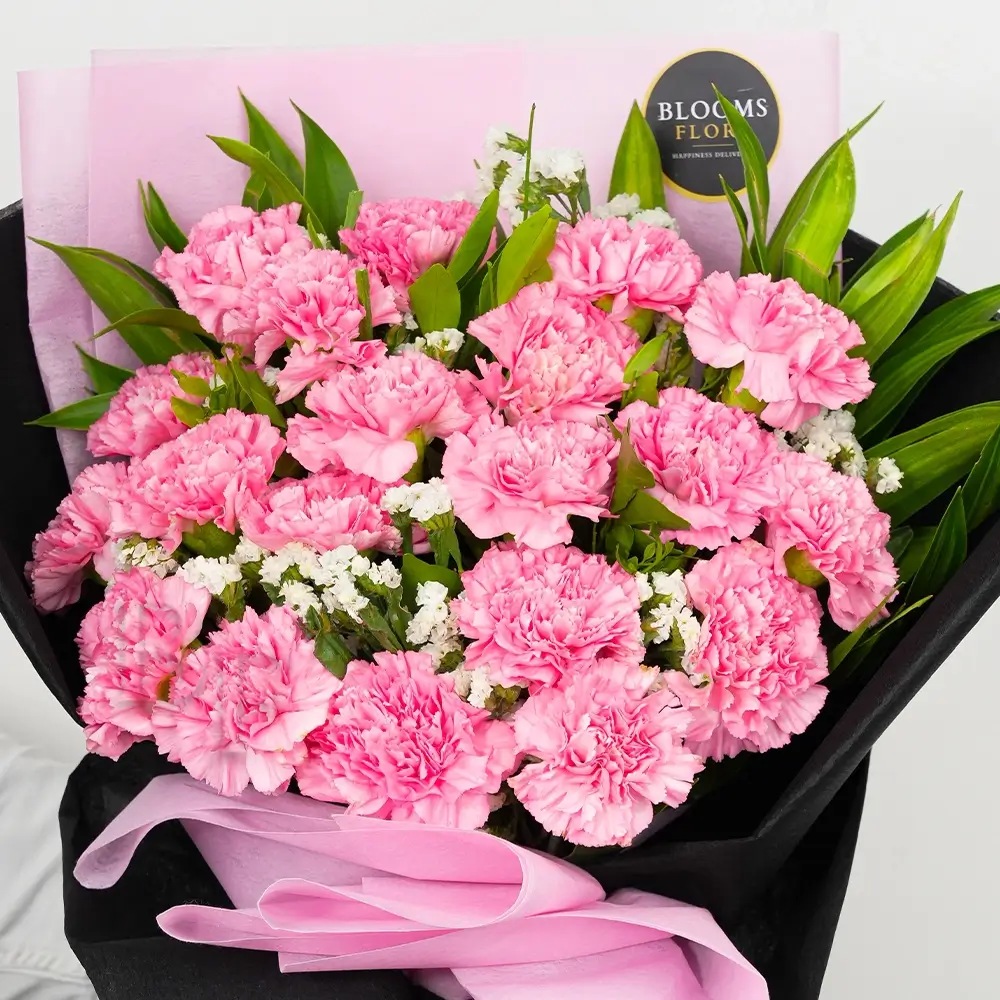 20 Pink Carnations Bouquet