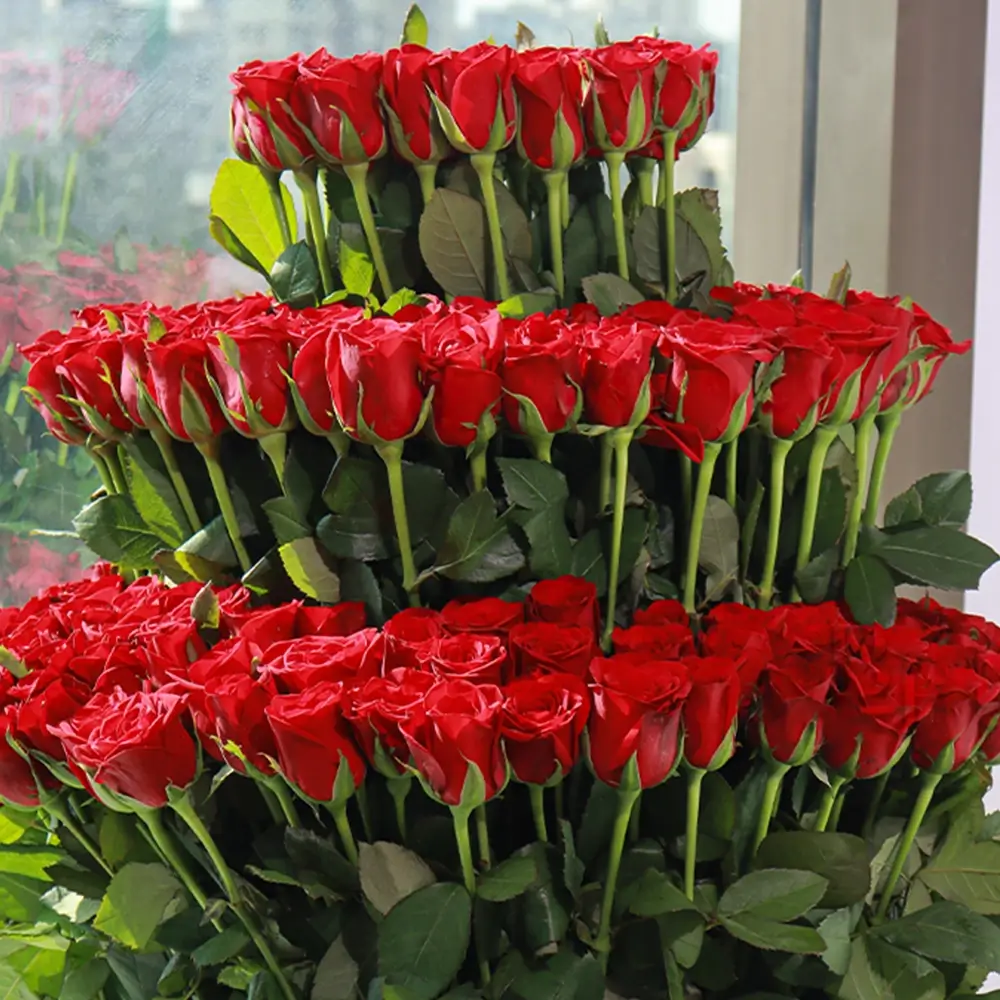 3 tier 100 red roses in a basket