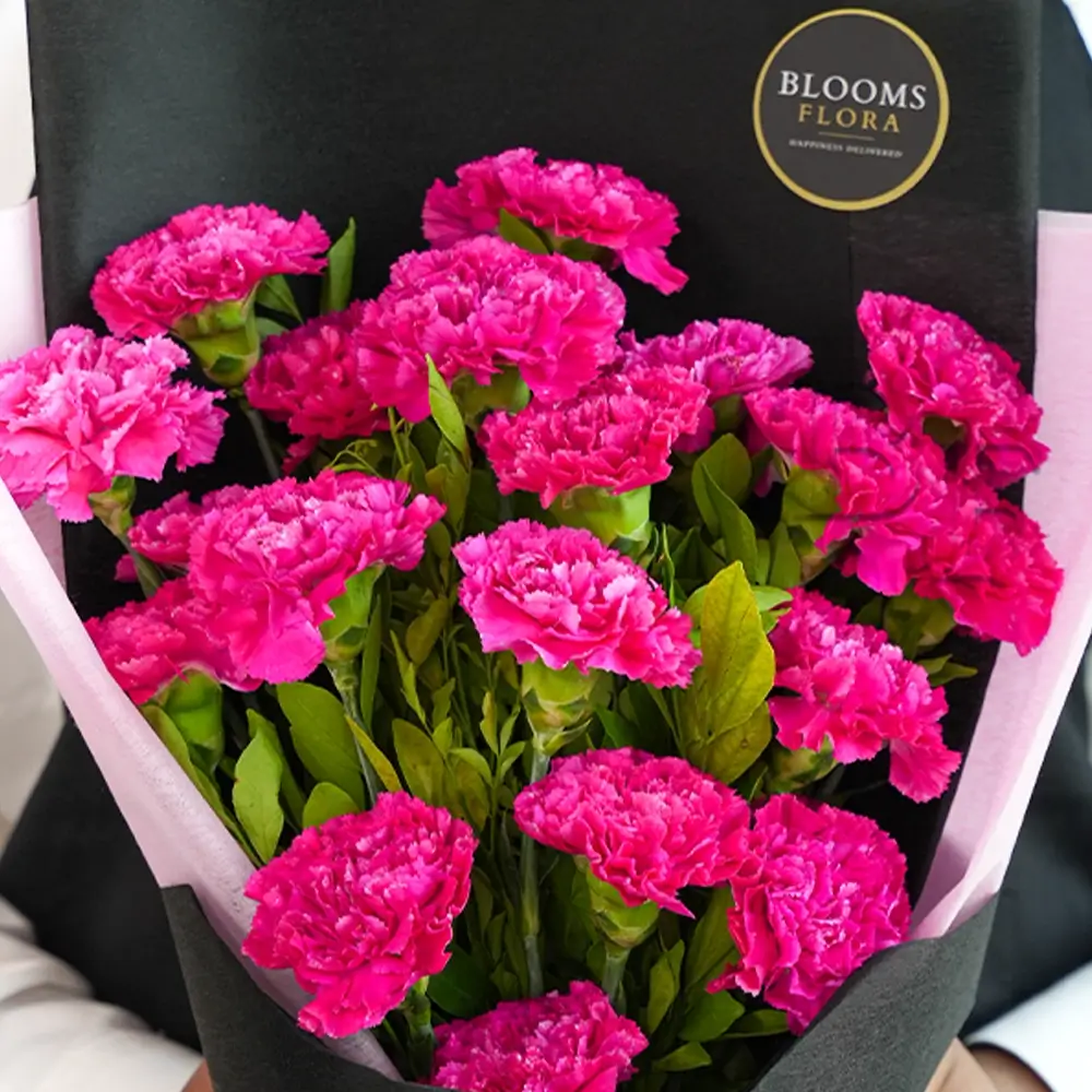 bouquet of 18 pink carnations