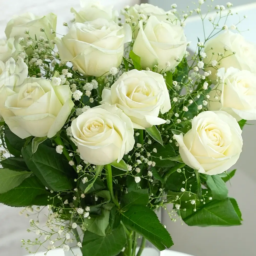 12 white roses in a vase