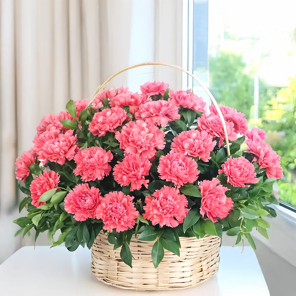 Romantic Carnations