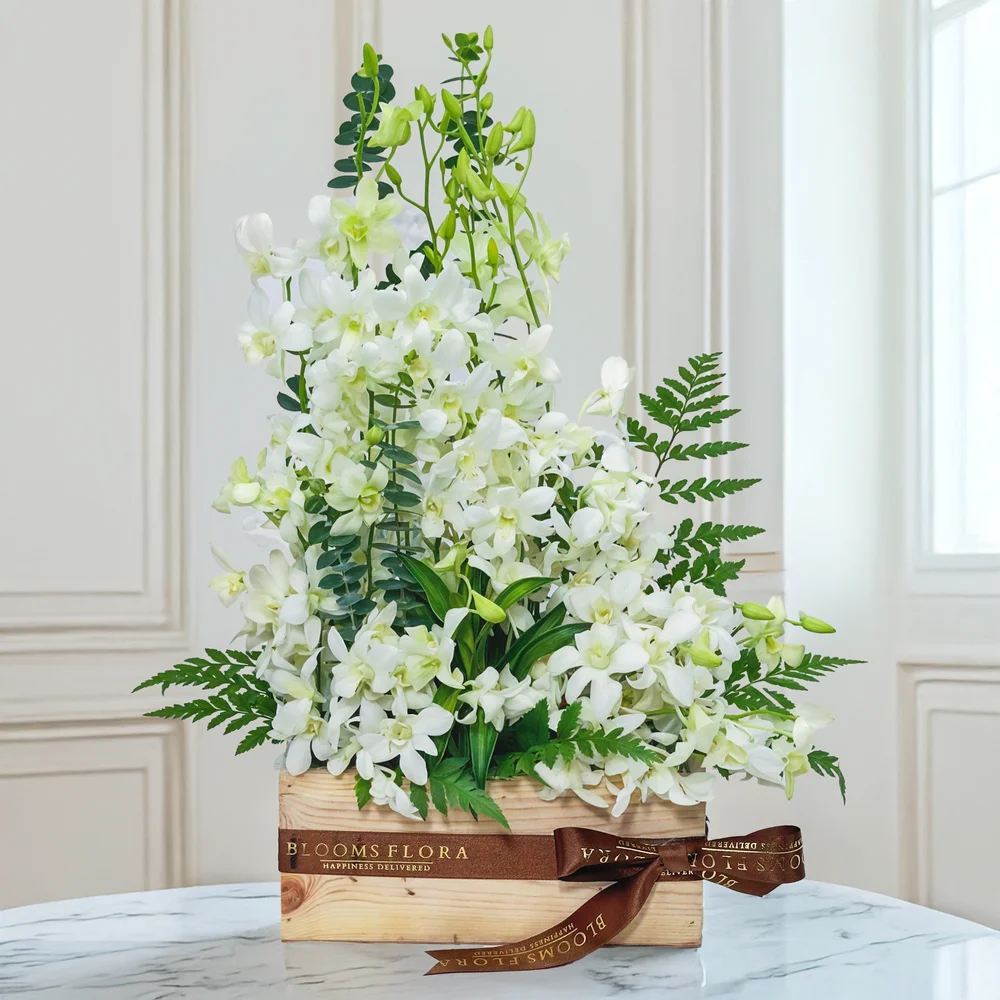 20 white orchids in a wooden box