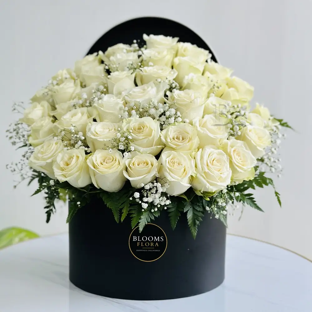 50 white roses in a black round box