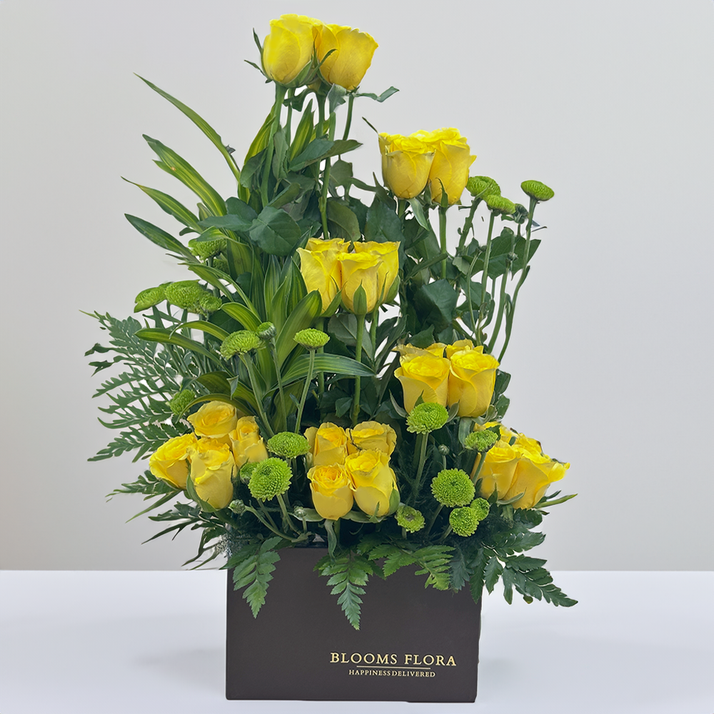 28 yellow roses in square black box