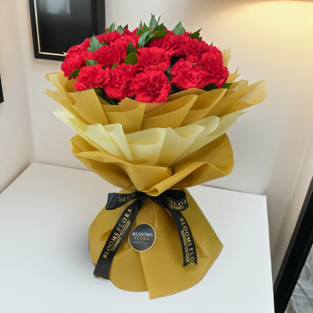 20 red carnations bouquet