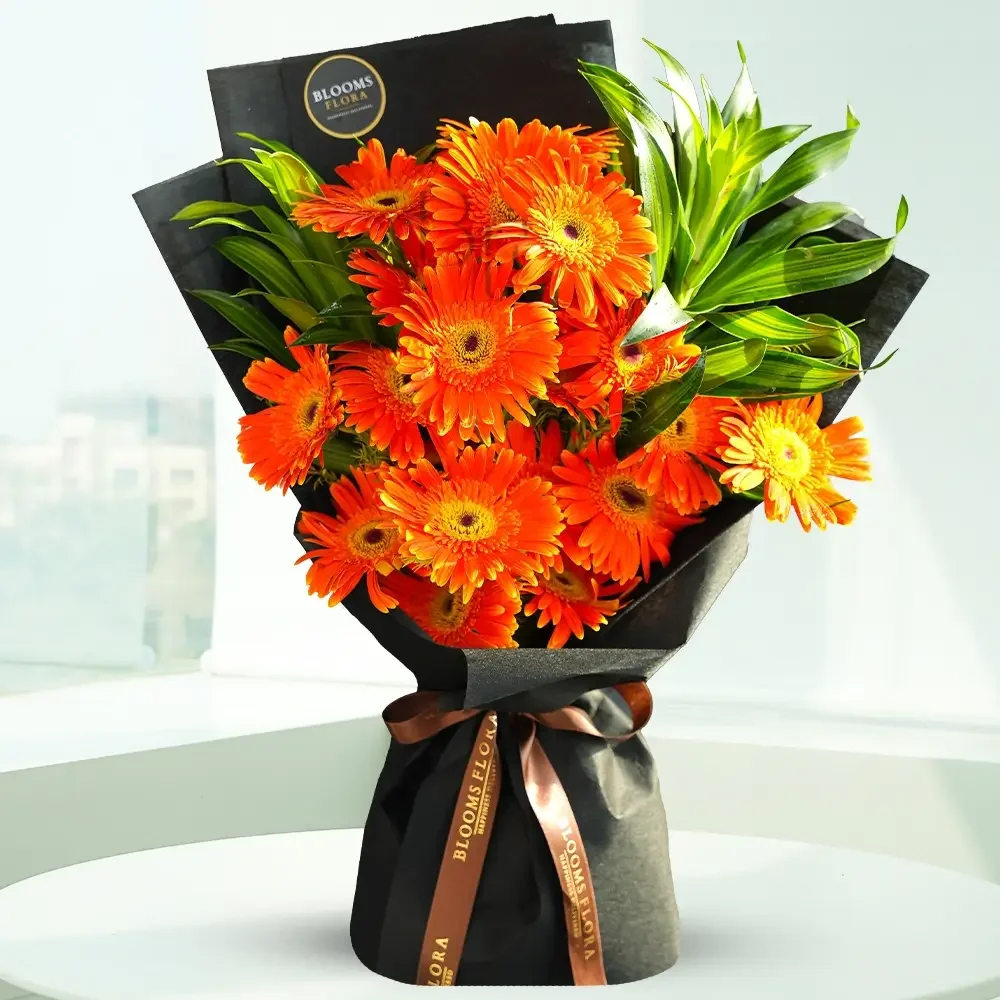 15 orange gerberas bouquet