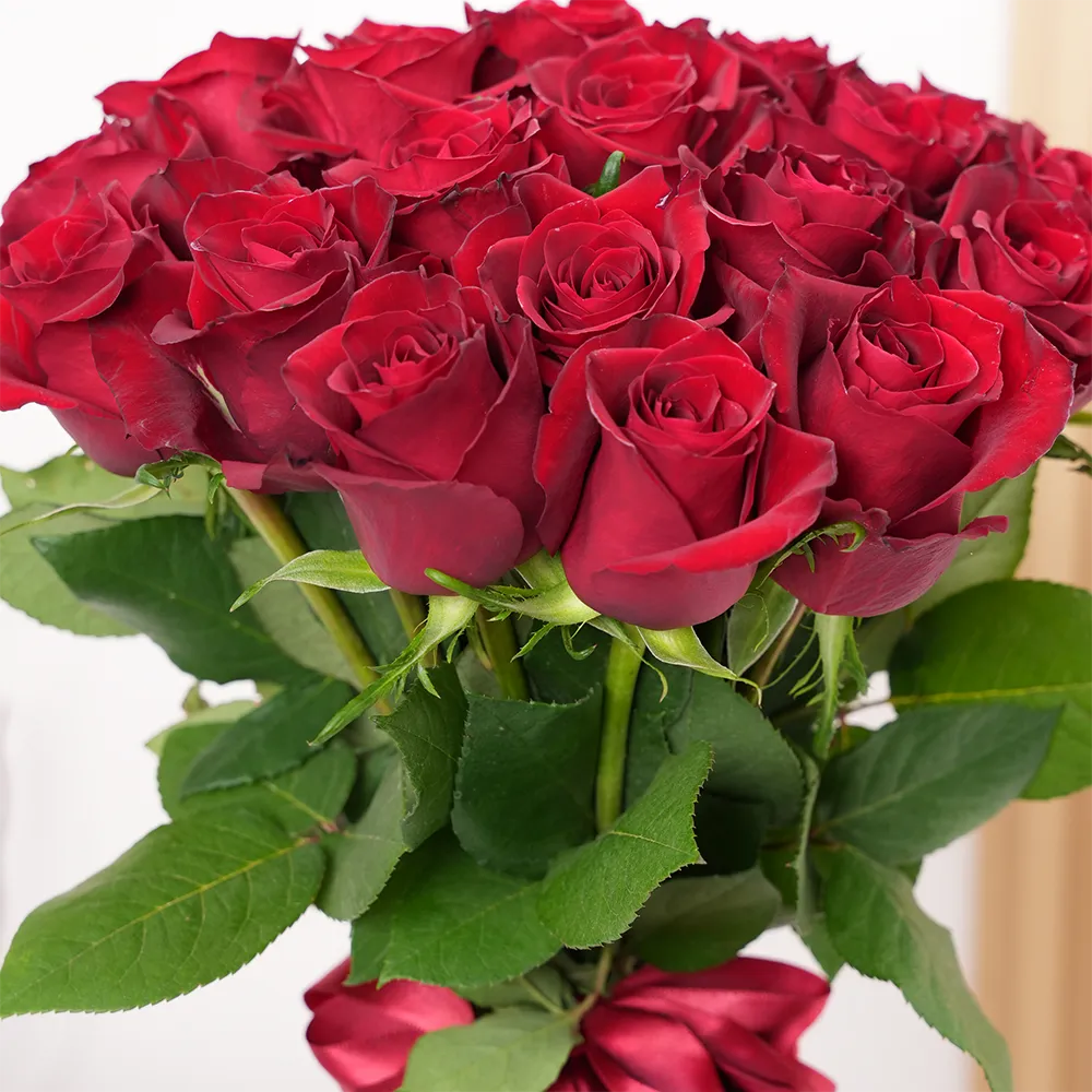 Red roses in vase