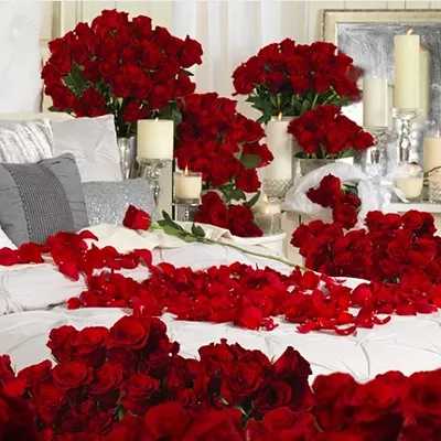 Room full of Red Roses